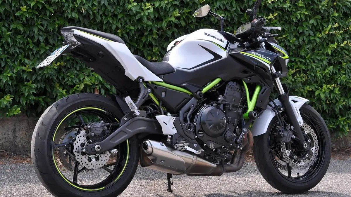 Kawasaki Z 650 (2020)  (4)