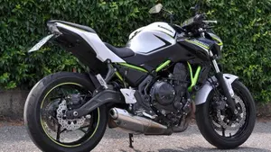 Kawasaki Z 650 (2020)  (4)