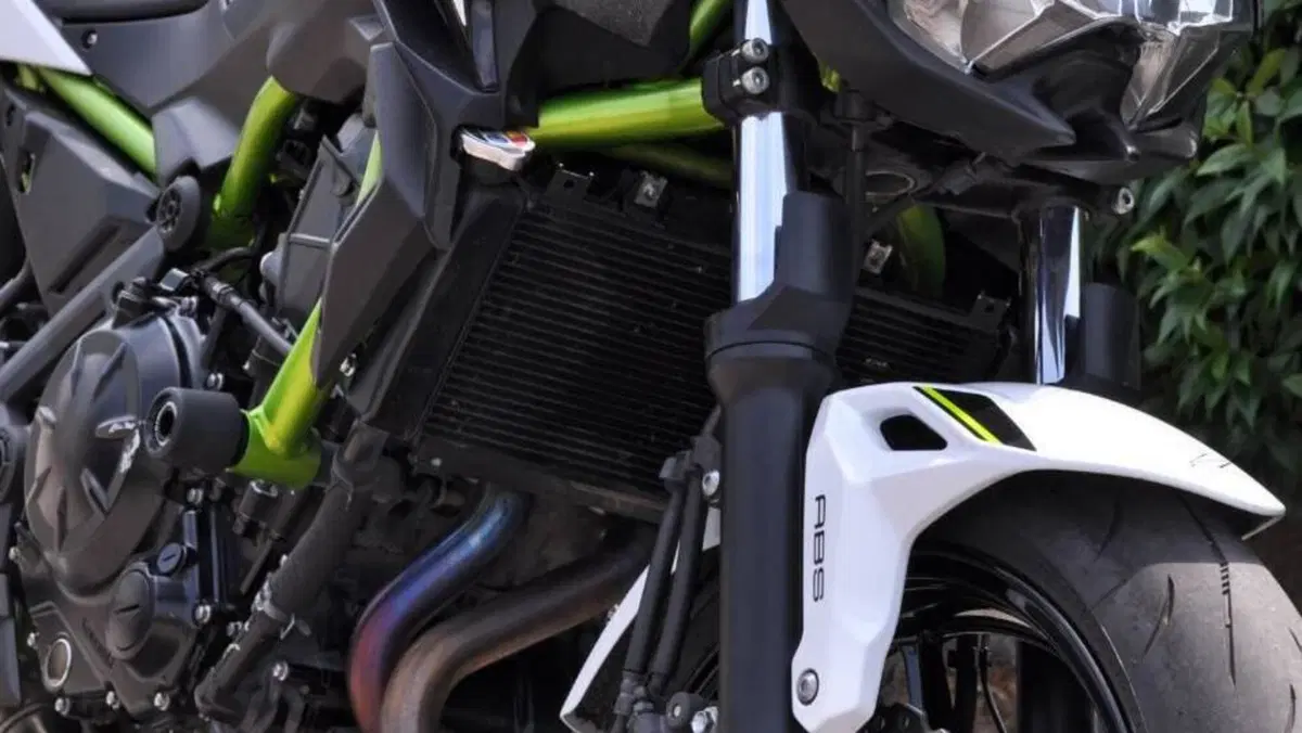 Kawasaki Z 650 (2020)  (5)
