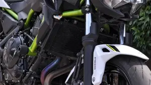 Kawasaki Z 650 (2020)  (5)