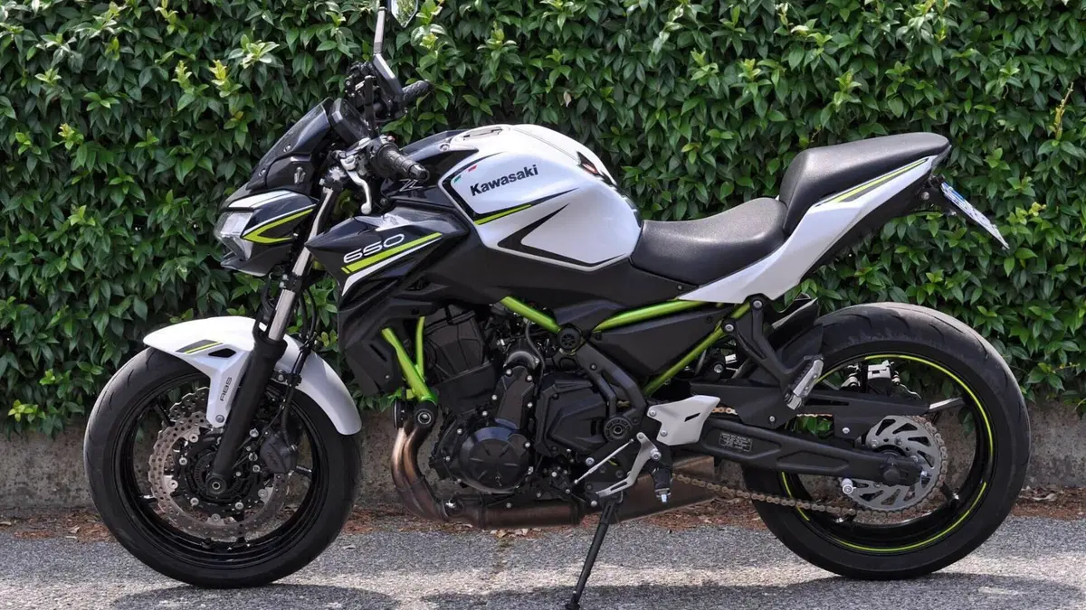 Kawasaki Z 650 (2020)  (2)