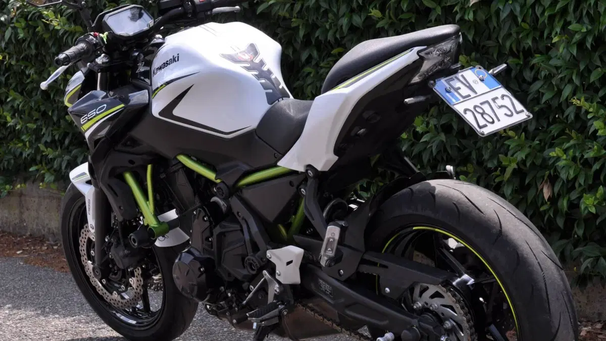 Kawasaki Z 650 (2020)  (9)