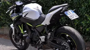 Kawasaki Z 650 (2020)  (9)