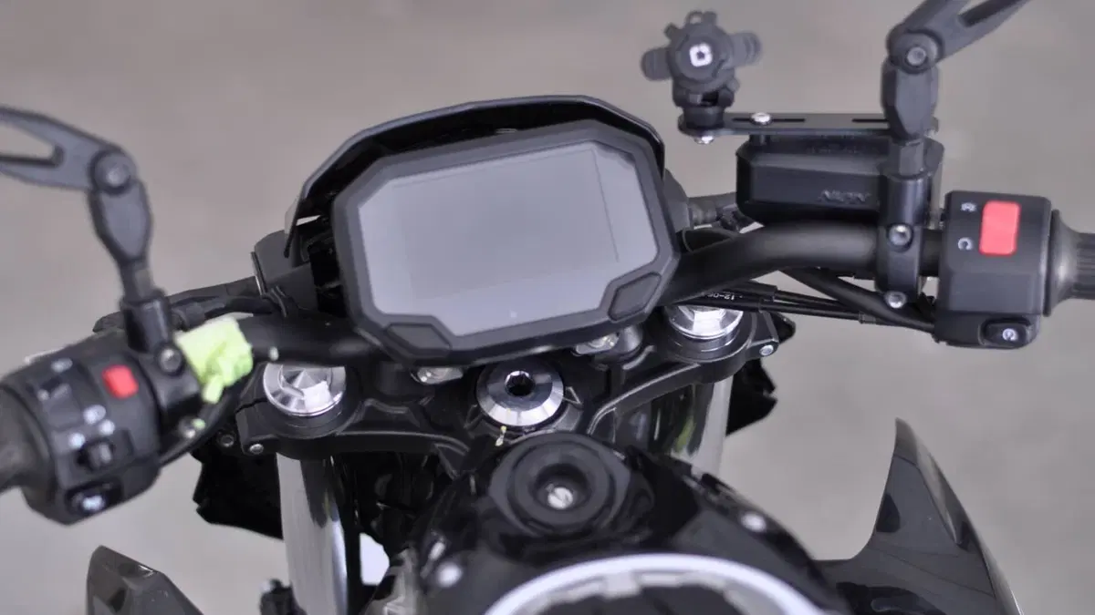 Kawasaki Z 650 (2020)  (10)