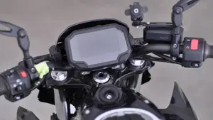 Kawasaki Z 650 (2020)  (10)