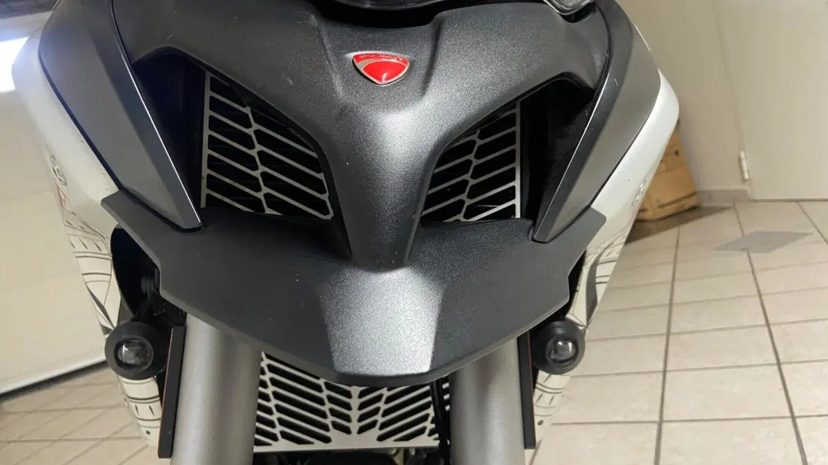 Ducati Multistrada 1260 Enduro (2019 - 21)  (13)