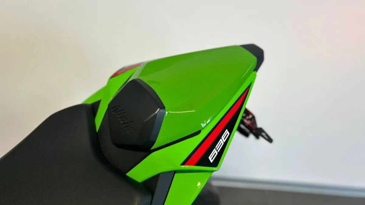 Kawasaki Ninja 636 ZX-6R (2024 - 26)  (8)