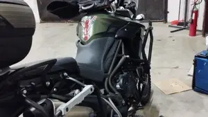 Triumph Tiger 800 XCx (2018 - 20)  (5)