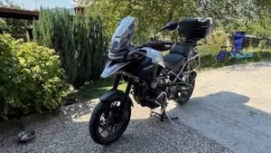Triumph Tiger 1200 GT Pro (2022 - 23)  (8)