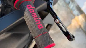 Aprilia RS 660 (2020 - 24)  (12)