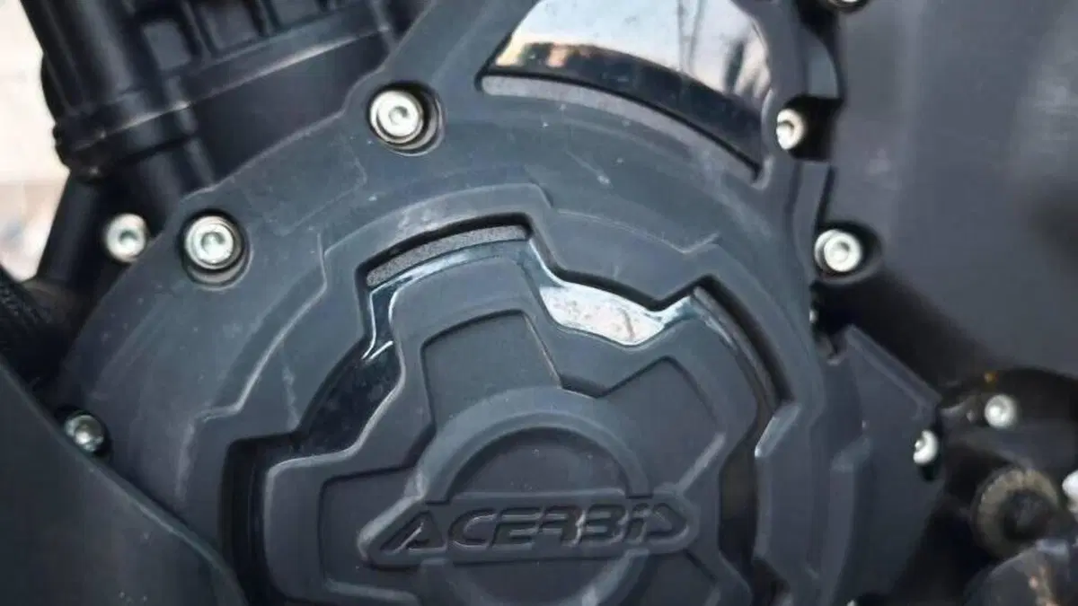Royal Enfield Himalayan 450 Tubeless (2024 - 26)  (4)