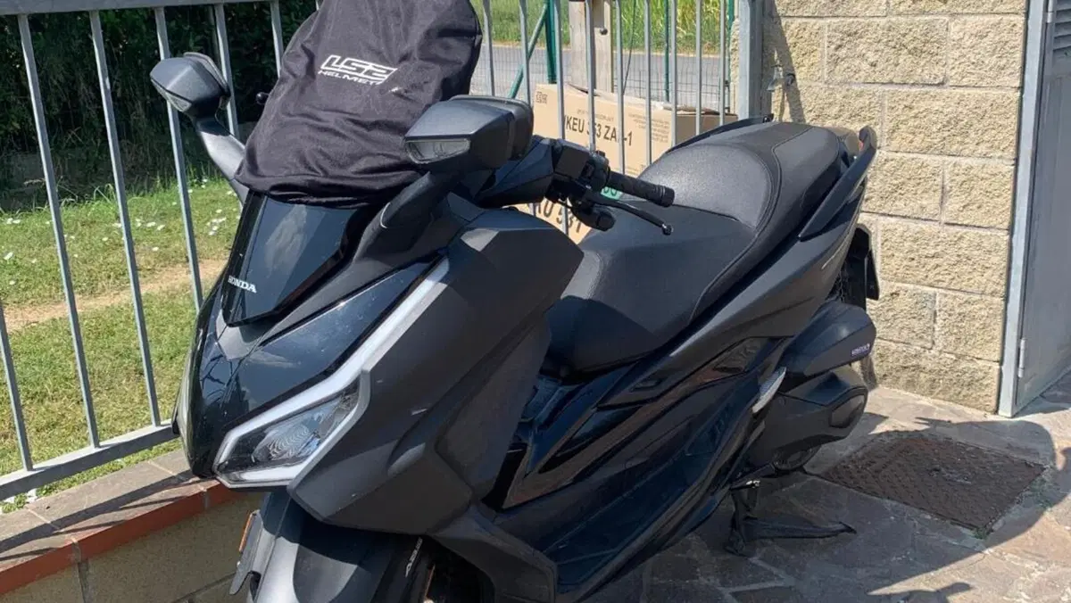 Honda Forza 350 (2022 - 24) 