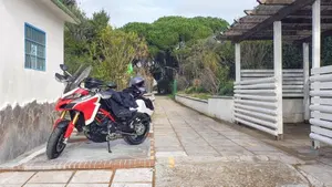 Ducati Multistrada 1260 Pikes Peak (2018 - 20)  (5)
