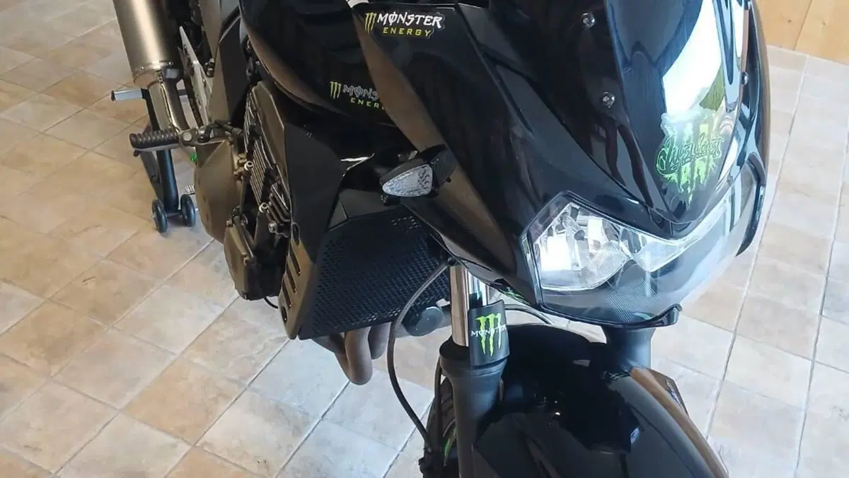 Kawasaki Z 750 (2003 - 06)  (8)