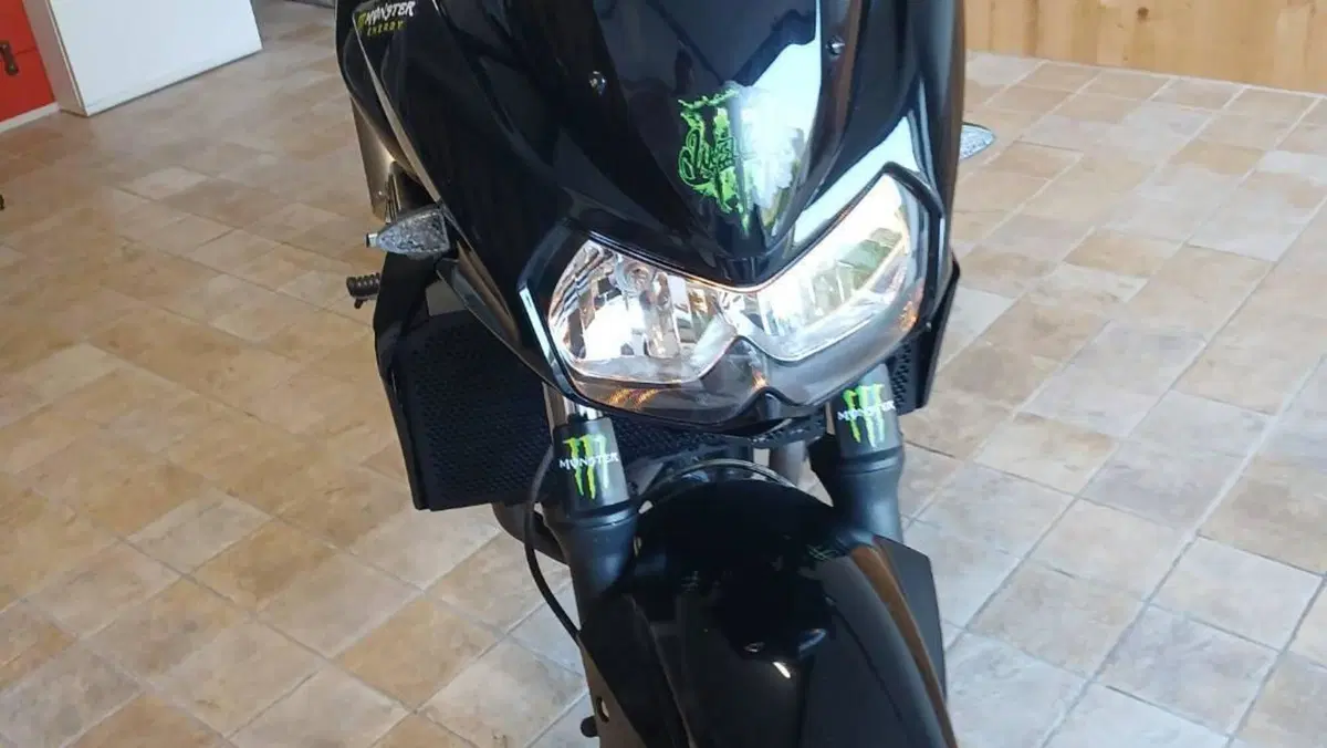 Kawasaki Z 750 (2003 - 06)  (15)