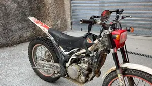 Betamotor Evo 300 4t (2010 - 11)  (2)