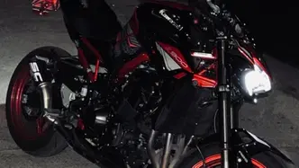 Kawasaki Z 900 (2021 - 24)