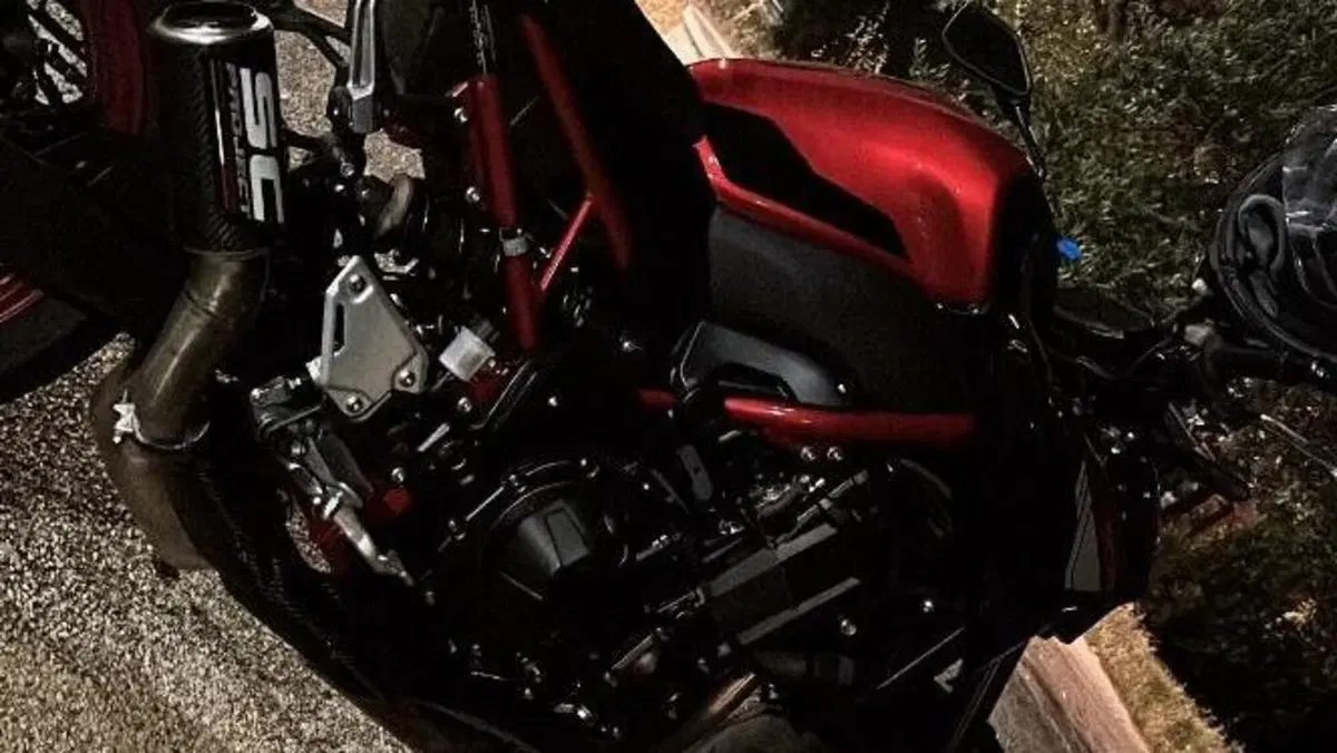 Kawasaki Z 900 (2021 - 24)  (4)