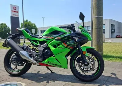 Kawasaki Ninja 125 (2021 - 24) - Annuncio 10085899