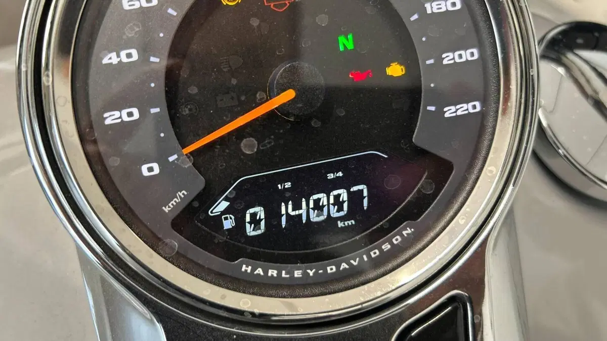 Harley-Davidson Sport Glide (2021 - 25)  (5)