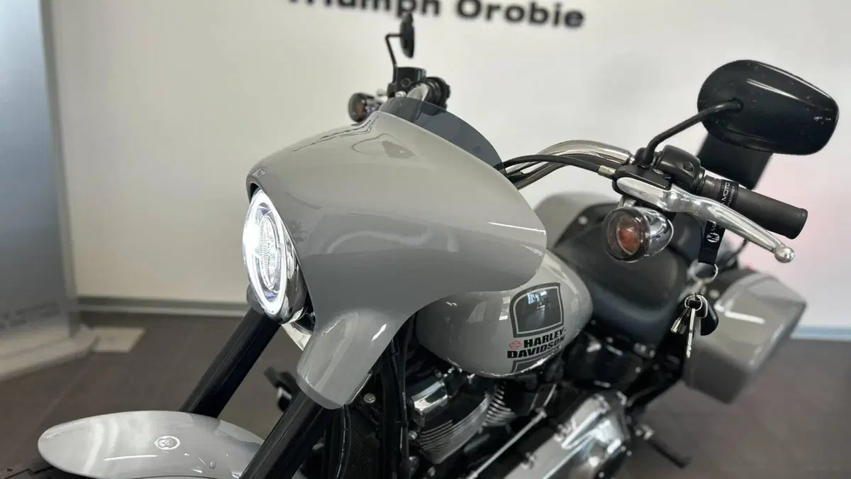 Harley-Davidson Sport Glide (2021 - 25)  (6)
