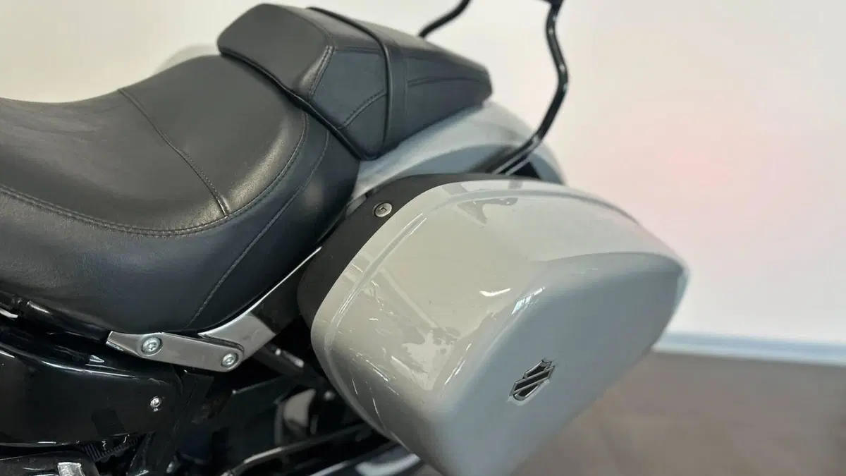 Harley-Davidson Sport Glide (2021 - 25)  (7)
