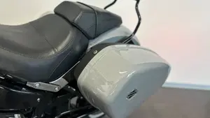 Harley-Davidson Sport Glide (2021 - 25)  (7)