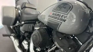 Harley-Davidson Sport Glide (2021 - 25)  (9)
