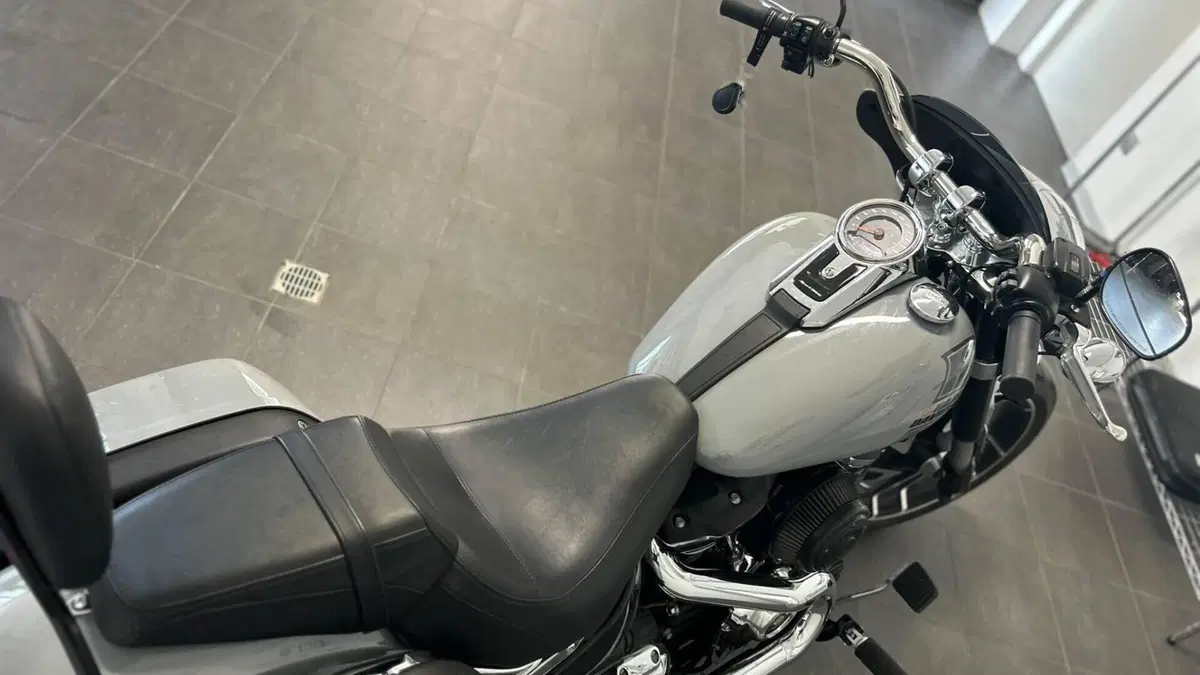 Harley-Davidson Sport Glide (2021 - 25)  (11)