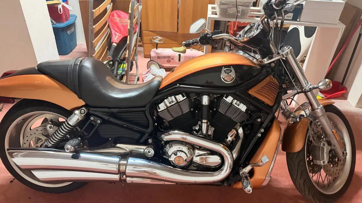 Harley-Davidson 1250 V-Rod (2008 - 12) - VRSCAW 