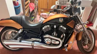 Harley-Davidson 1250 V-Rod (2008 - 12) - VRSCAW usata
