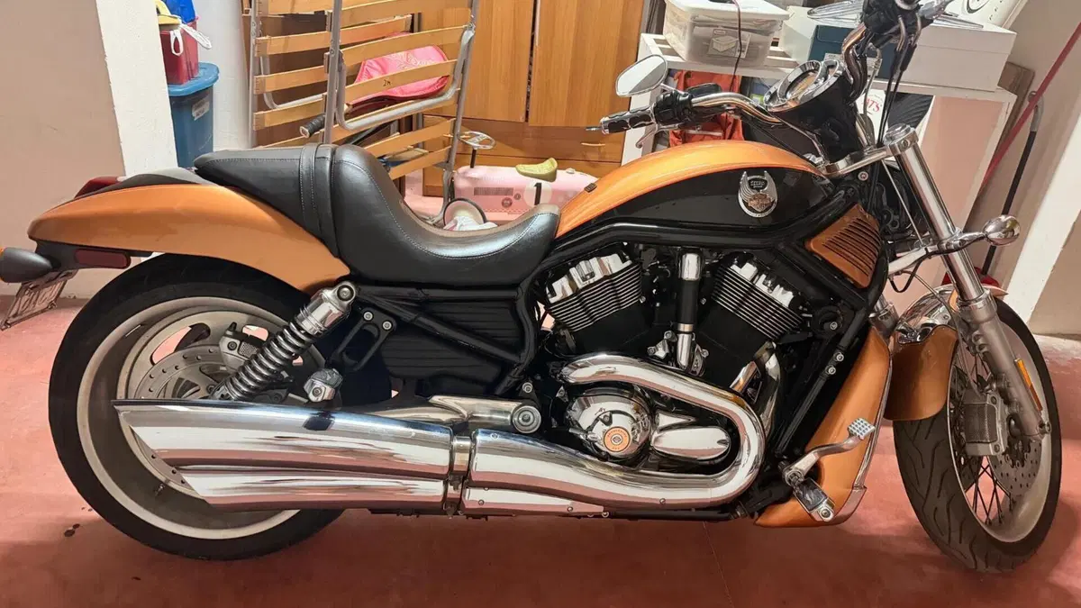 Harley-Davidson 1250 V-Rod (2008 - 12) - VRSCAW  (8)