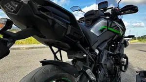 Kawasaki Versys 650 Tourer Plus (2017 - 20)  (2)