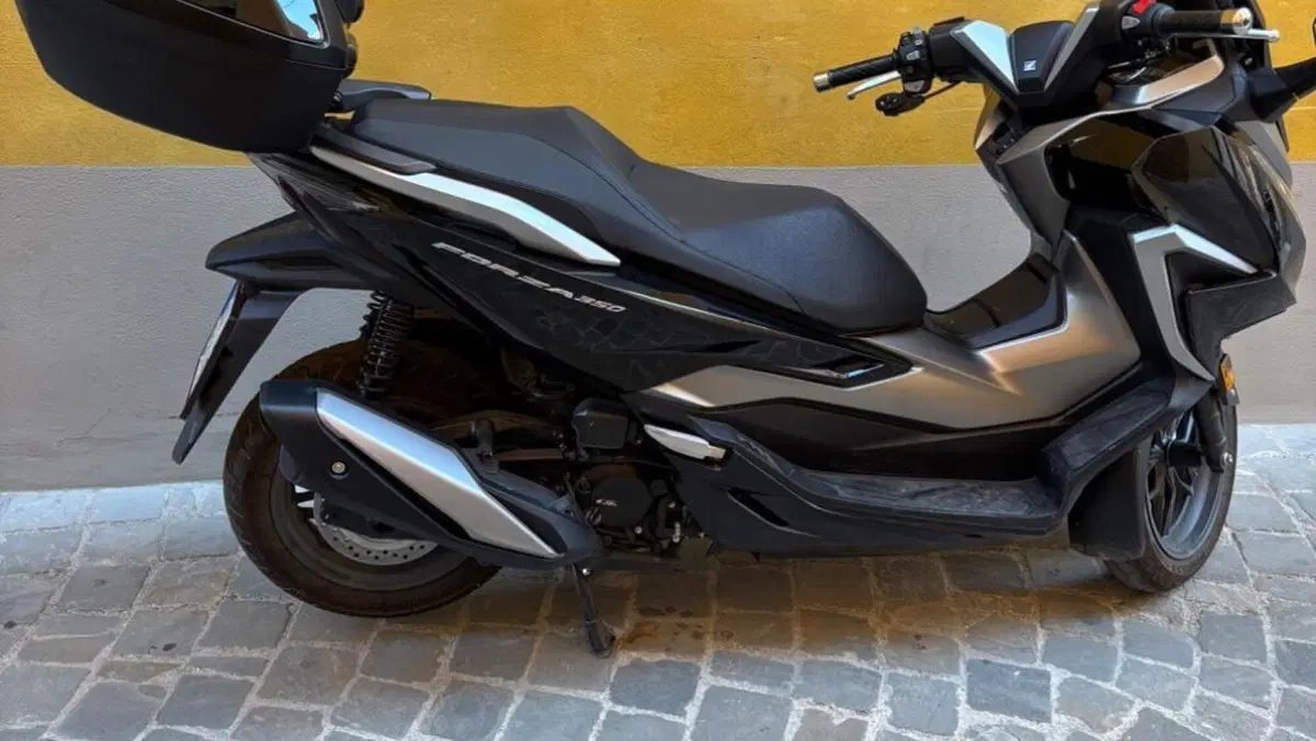 Honda Forza 350 Deluxe (2022 - 24) 