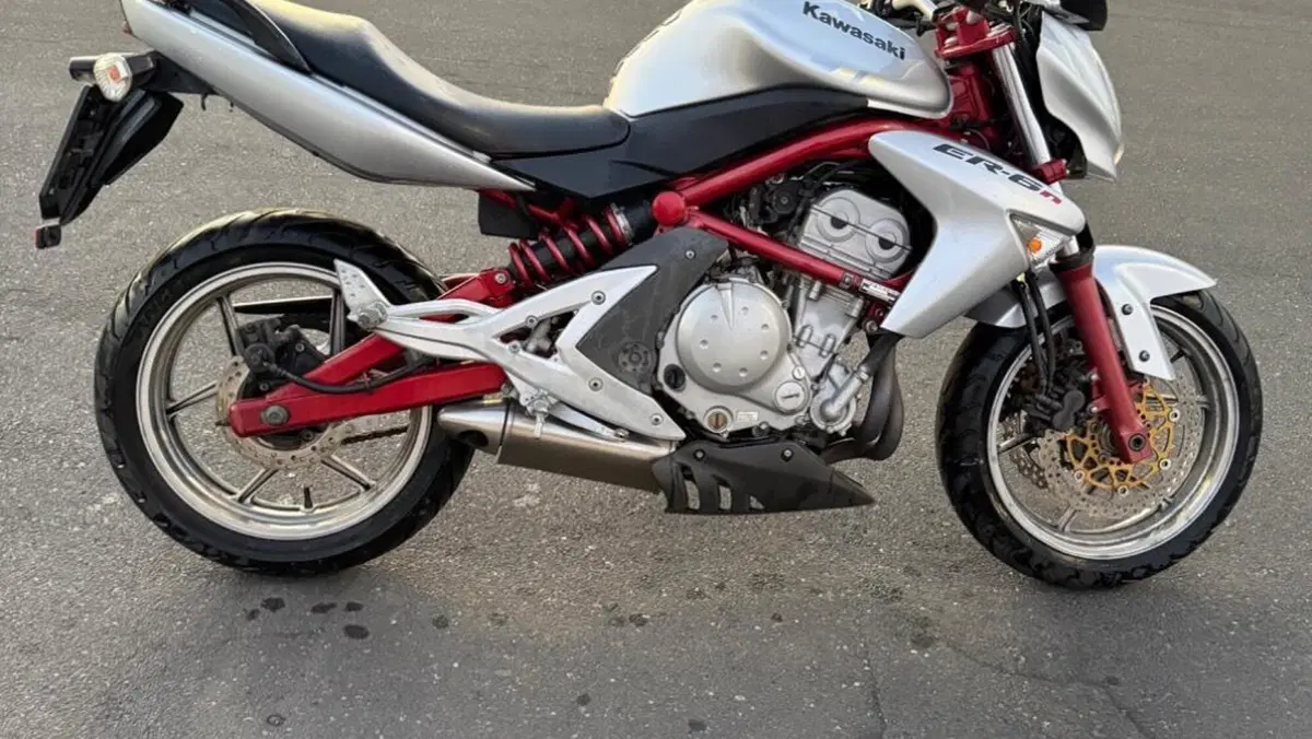 Kawasaki ER-6N (2005 - 08)  (2)