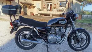 Suzuki   (2)