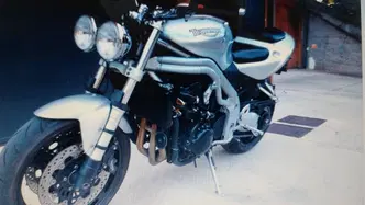 Triumph Speed Triple 955 (2002 - 04) usata