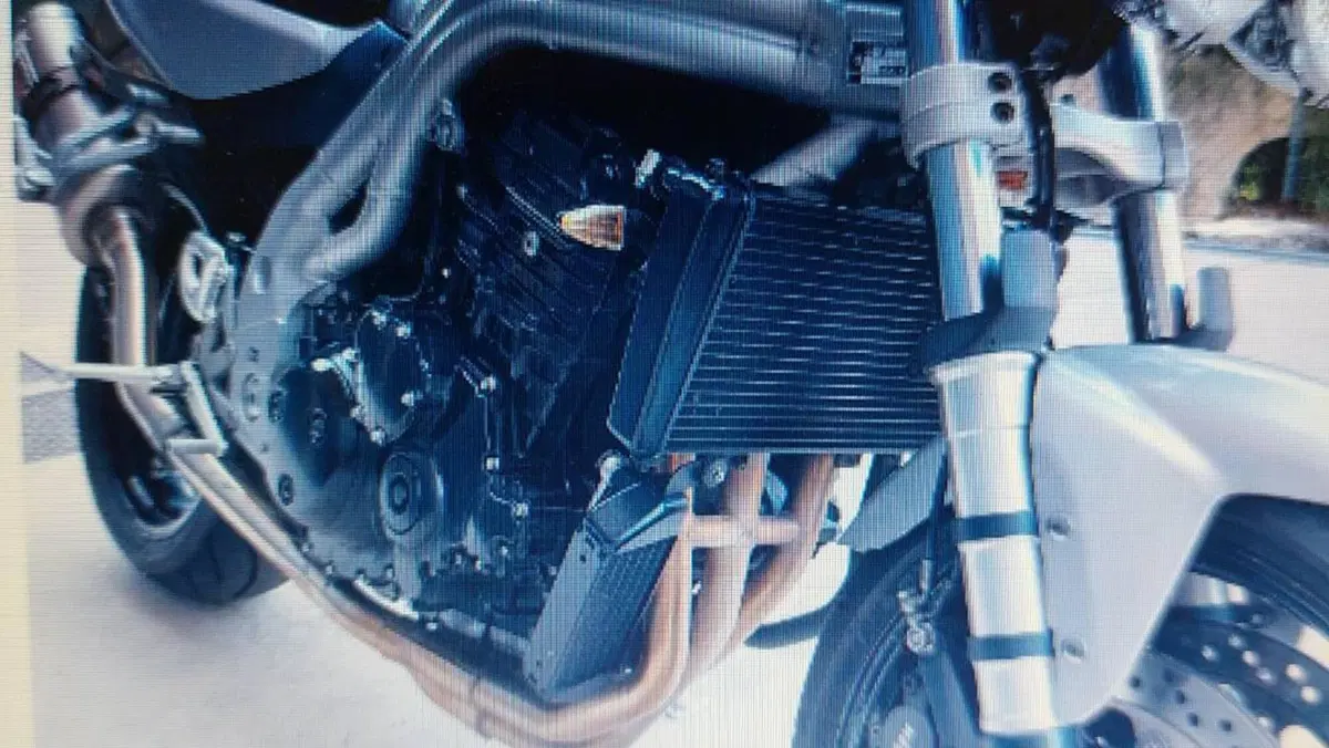 Triumph Speed Triple 955 (2002 - 04)  (5)