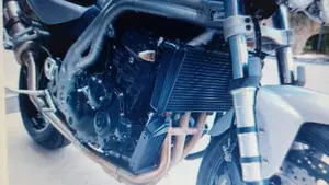 Triumph Speed Triple 955 (2002 - 04)  (5)