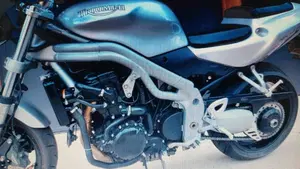 Triumph Speed Triple 955 (2002 - 04)  (13)