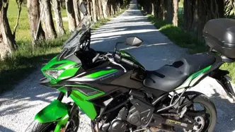 Kawasaki Versys 650 (2021 - 24) usata