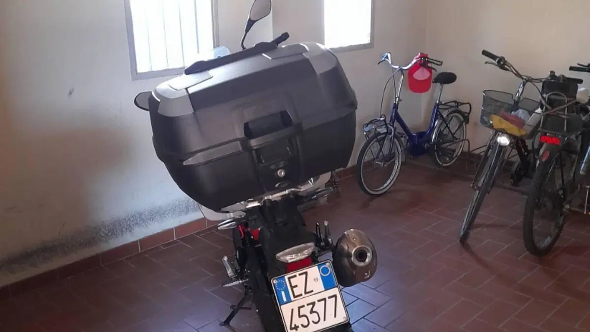 Bmw G 310 GS Edition 40 Years GS (2021)  (3)