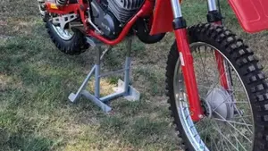 Betamotor   (2)