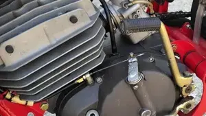Betamotor   (5)