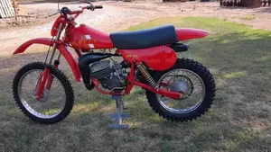 Betamotor   (6)