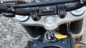 Husqvarna Svartpilen 401 (2020)  (12)