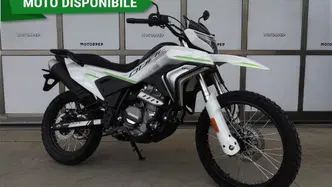 CFMOTO CFLite 250 Dual (2026) nuova