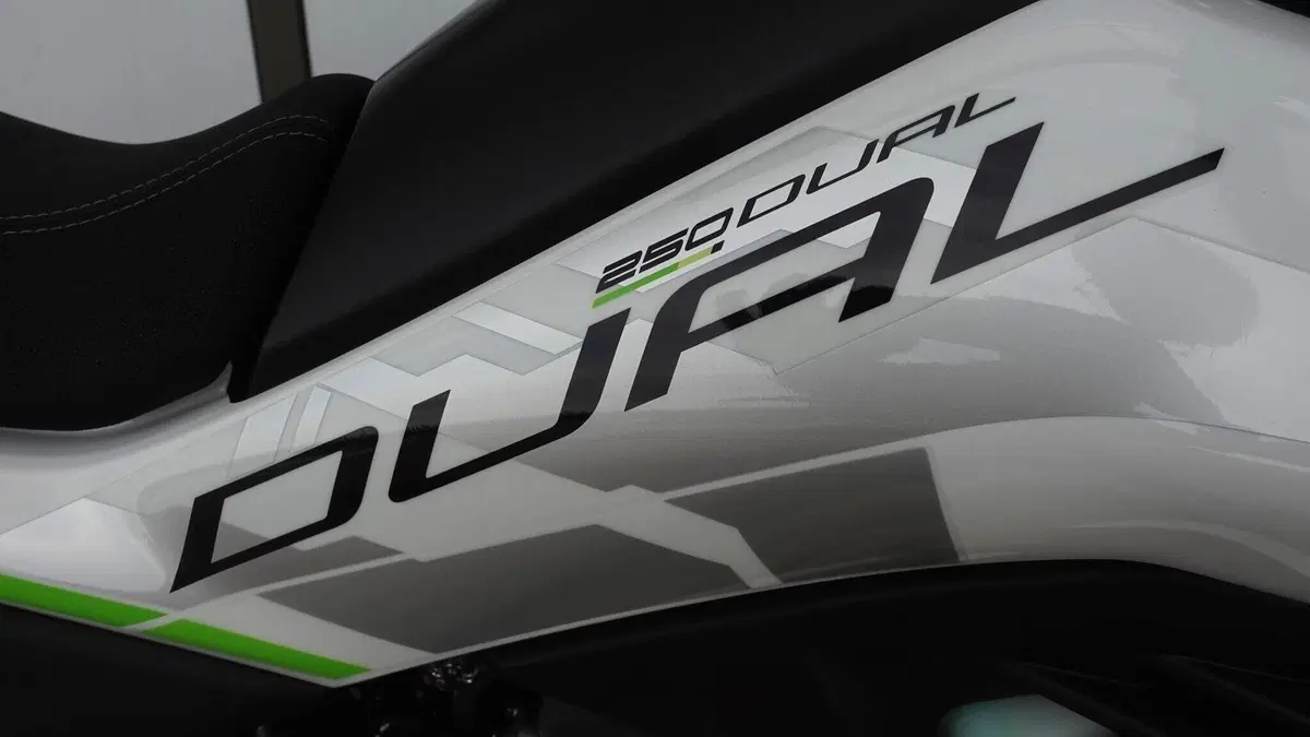 CFMOTO CFLite 250 Dual (2026)  (4)