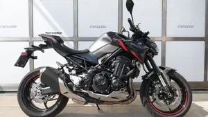 Kawasaki Z 900 (2021 - 24)  (2)