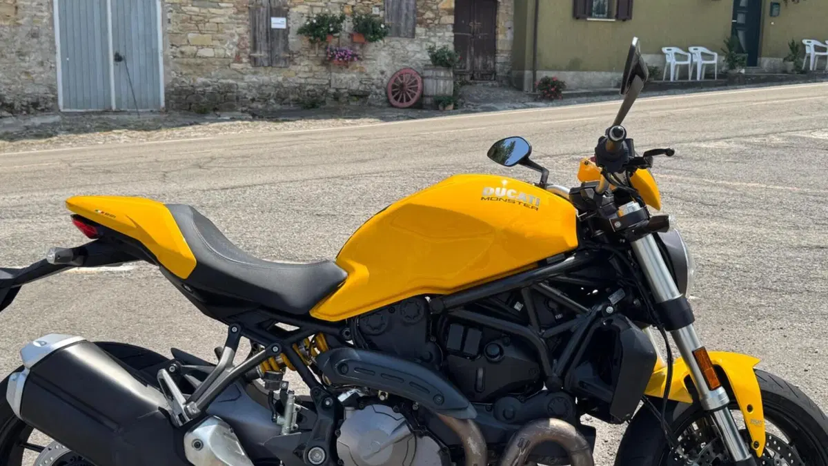Ducati Monster 821 (2018 - 20) 